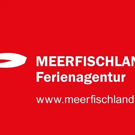 Strandmuschel - #118691
